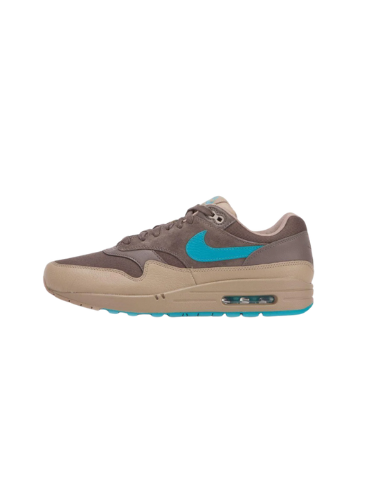 NIKE AIR MAX 1 on Carousell